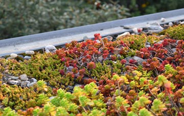 the cost of Barlestone green roof installation