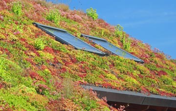 Barlestone living roof systems